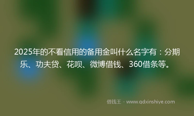 2025年的不看信用的备用金叫什么名字有：分期乐、功夫贷、花呗、微博借钱、360借条等。