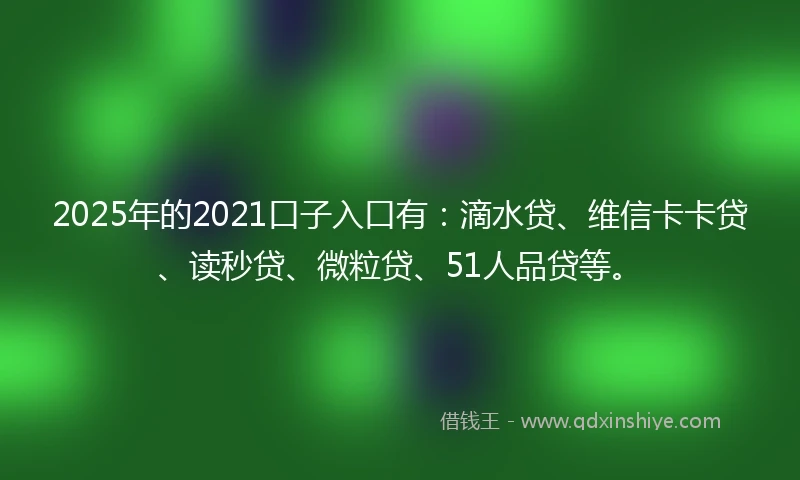 2025年的2021口子入口有：滴水贷、维信卡卡贷、读秒贷、微粒贷、51人品贷等。