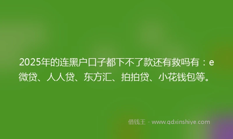 2025年的连黑户口子都下不了款还有救吗有：e微贷、人人贷、东方汇、拍拍贷、小花钱包等。