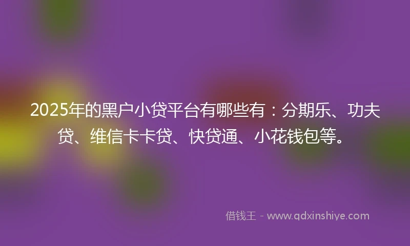 2025年的黑户小贷平台有哪些有：分期乐、功夫贷、维信卡卡贷、快贷通、小花钱包等。