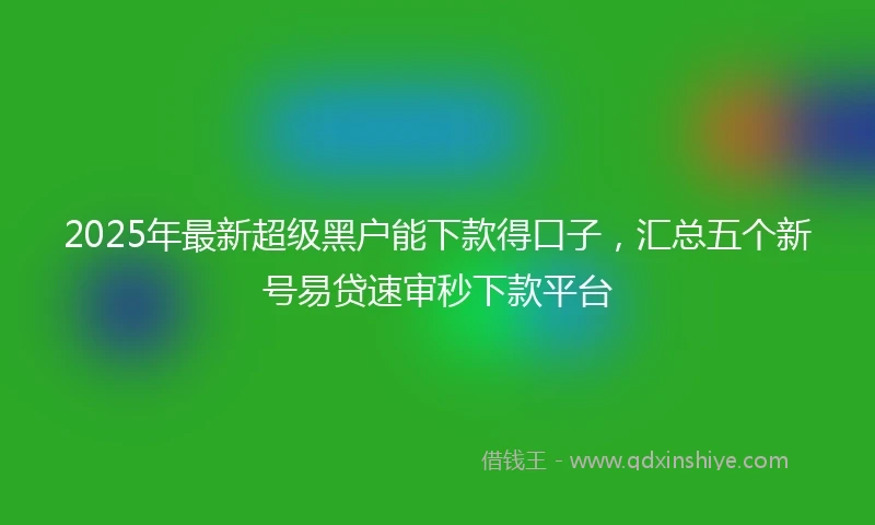 2025年最新超级黑户能下款得口子，汇总五个新号易贷速审秒下款平台