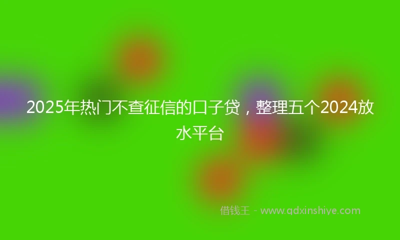 2025年热门不查征信的口子贷，整理五个2024放水平台