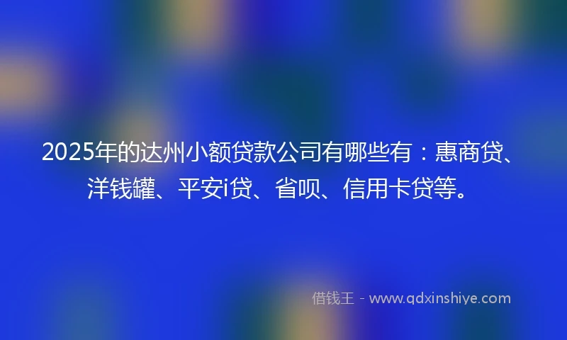 2025年的达州小额贷款公司有哪些有：惠商贷、洋钱罐、平安i贷、省呗、信用卡贷等。