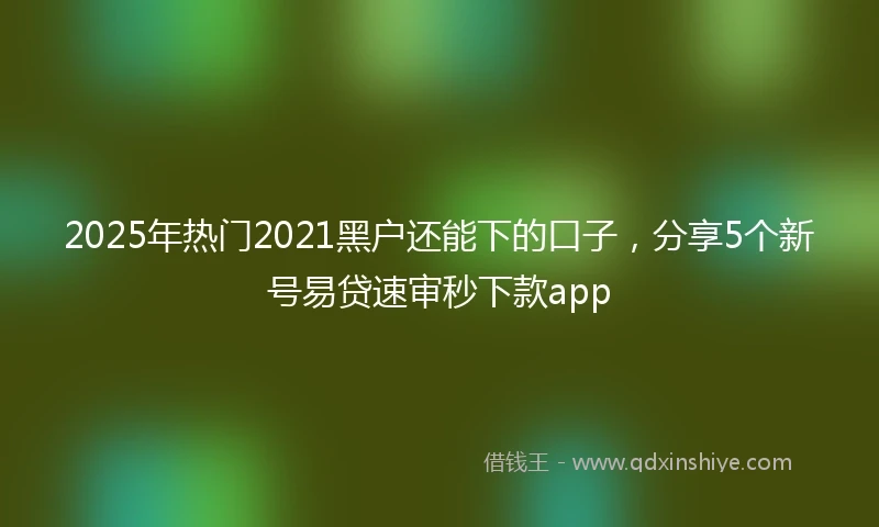 2025年热门2021黑户还能下的口子，分享5个新号易贷速审秒下款app