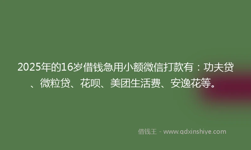 2025年的16岁借钱急用小额微信打款有：功夫贷、微粒贷、花呗、美团生活费、安逸花等。