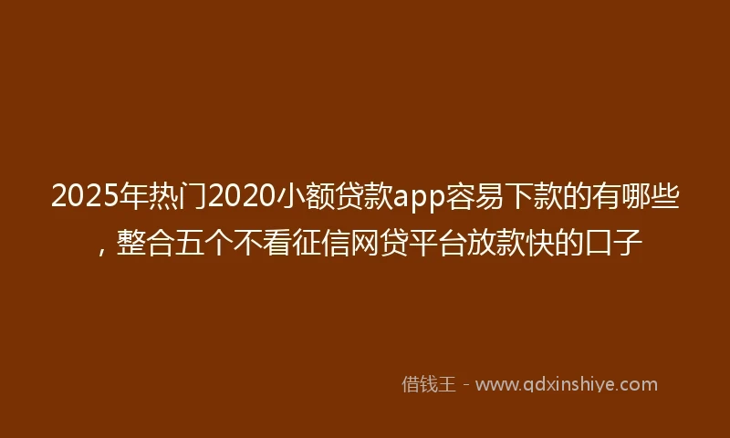 2025年热门2020小额贷款app容易下款的有哪些，整合五个不看征信网贷平台放款快的口子