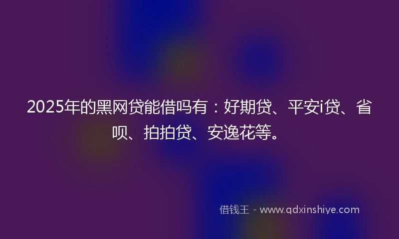 2025年的黑网贷能借吗有：好期贷、平安i贷、省呗、拍拍贷、安逸花等。