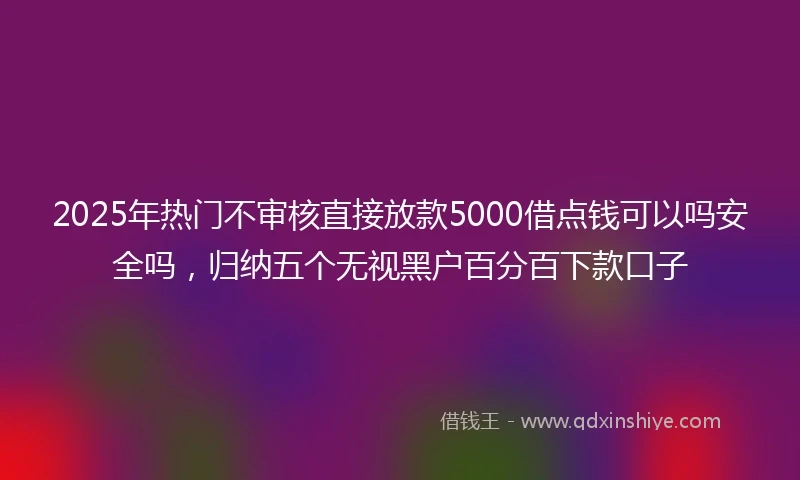 2025年热门不审核直接放款5000借点钱可以吗安全吗，归纳五个无视黑户百分百下款口子