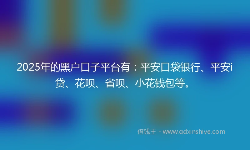 2025年的黑户口子平台有：平安口袋银行、平安i贷、花呗、省呗、小花钱包等。