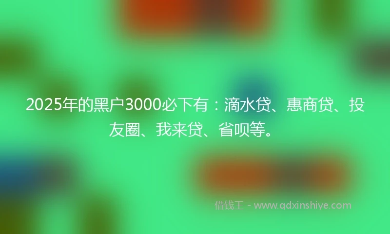 2025年的黑户3000必下有：滴水贷、惠商贷、投友圈、我来贷、省呗等。