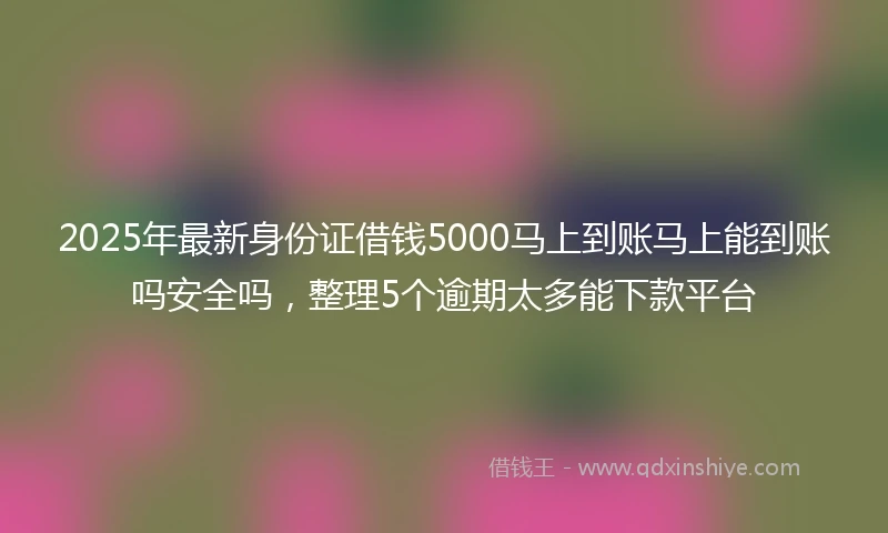 2025年最新身份证借钱5000马上到账马上能到账吗安全吗，整理5个逾期太多能下款平台
