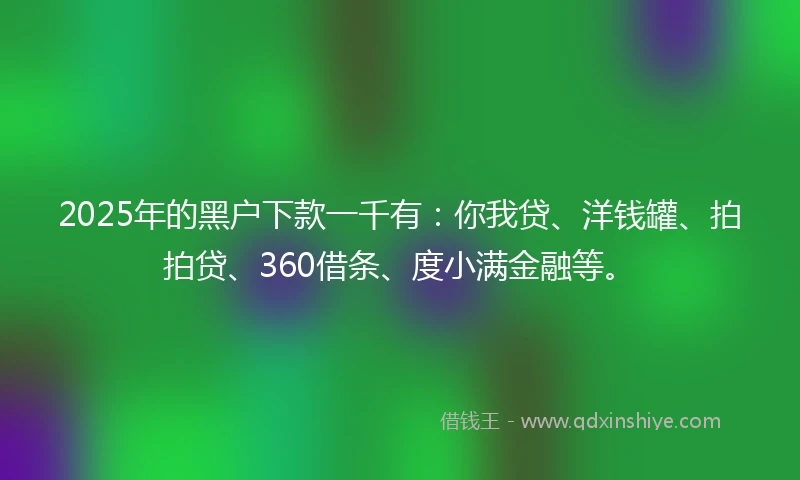 2025年的黑户下款一千有：你我贷、洋钱罐、拍拍贷、360借条、度小满金融等。