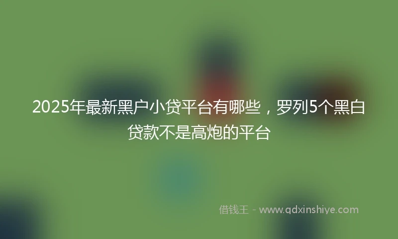 2025年最新黑户小贷平台有哪些，罗列5个黑白贷款不是高炮的平台