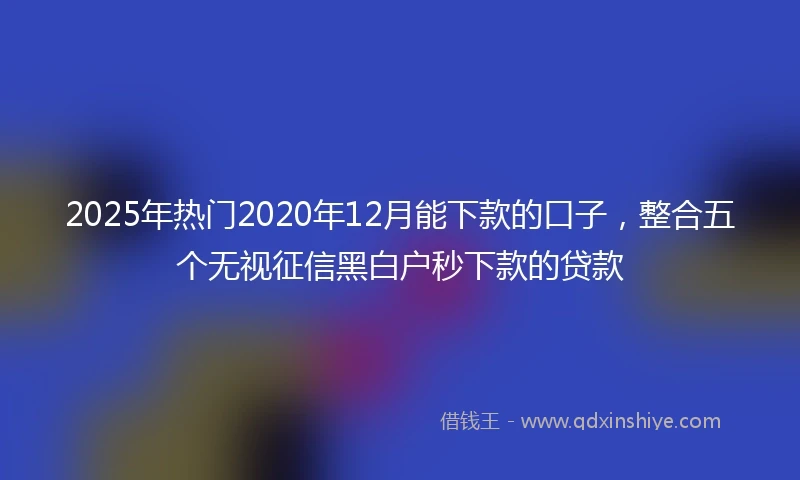 2025年热门2020年12月能下款的口子，整合五个无视征信黑白户秒下款的贷款