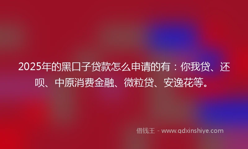 2025年的黑口子贷款怎么申请的有：你我贷、还呗、中原消费金融、微粒贷、安逸花等。