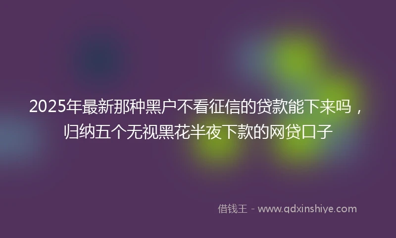 2025年最新那种黑户不看征信的贷款能下来吗，归纳五个无视黑花半夜下款的网贷口子