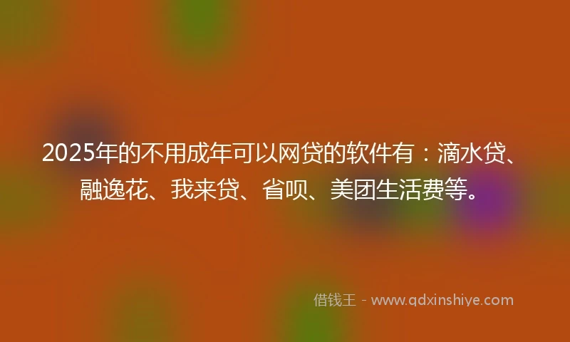 2025年的不用成年可以网贷的软件有：滴水贷、融逸花、我来贷、省呗、美团生活费等。