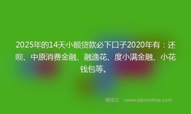 2025年的14天小额贷款必下口子2020年有：还呗、中原消费金融、融逸花、度小满金融、小花钱包等。