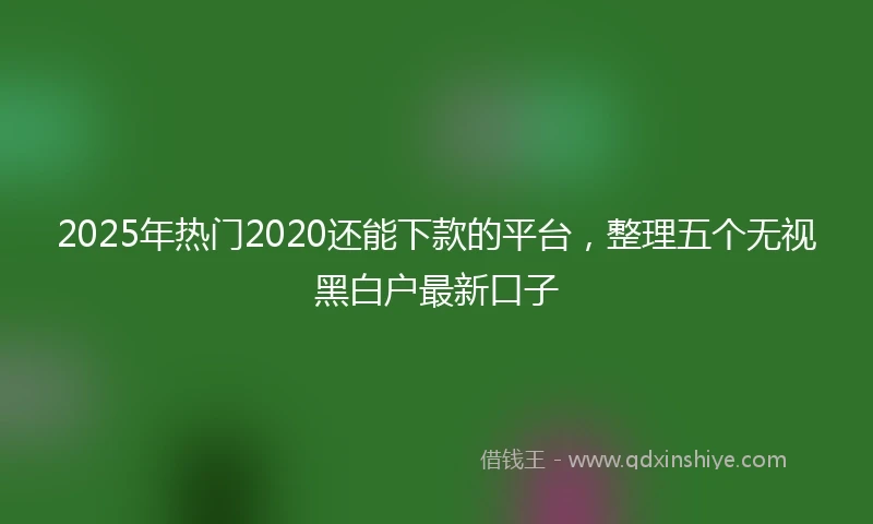2025年热门2020还能下款的平台，整理五个无视黑白户最新口子