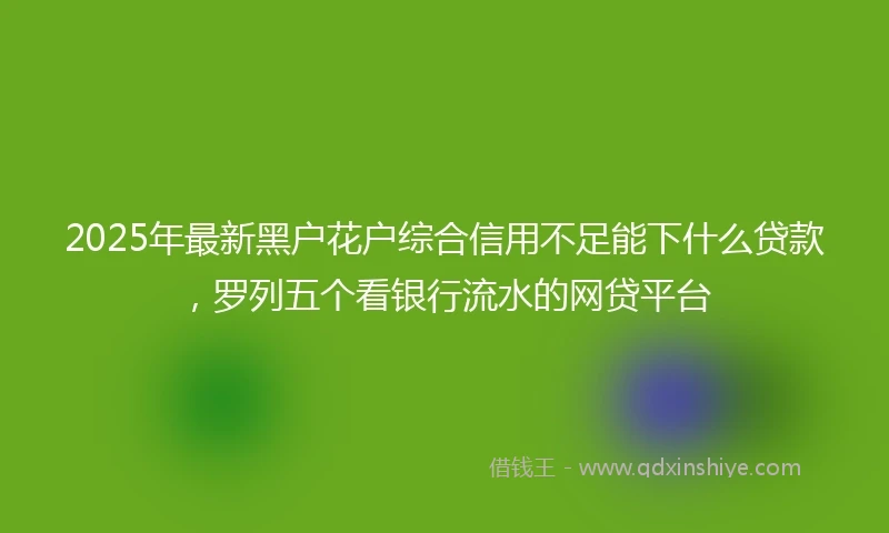 2025年最新黑户花户综合信用不足能下什么贷款，罗列五个看银行流水的网贷平台