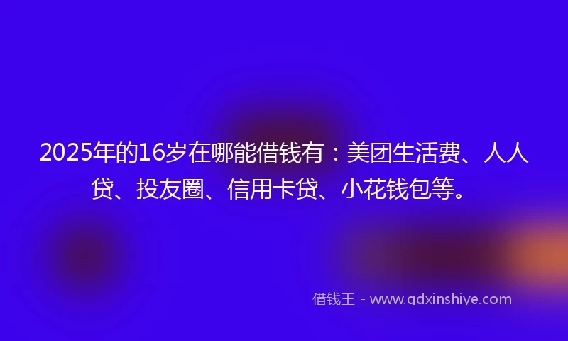 2025年的16岁在哪能借钱有：美团生活费、人人贷、投友圈、信用卡贷、小花钱包等。