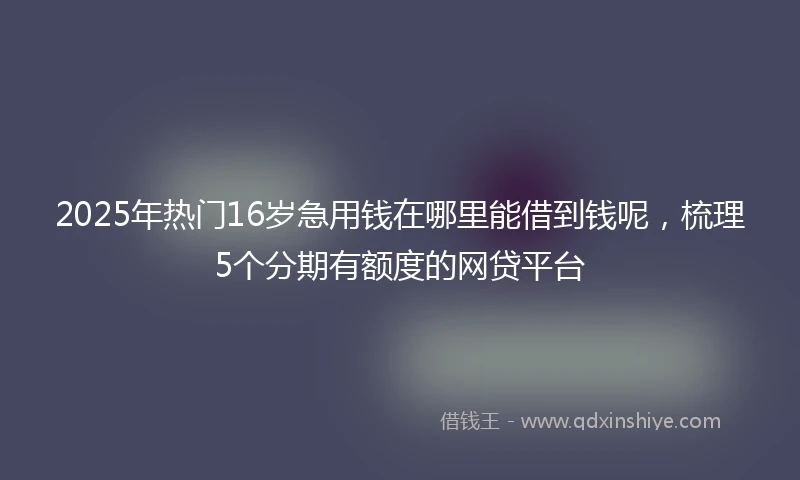 2025年热门16岁急用钱在哪里能借到钱呢，梳理5个分期有额度的网贷平台