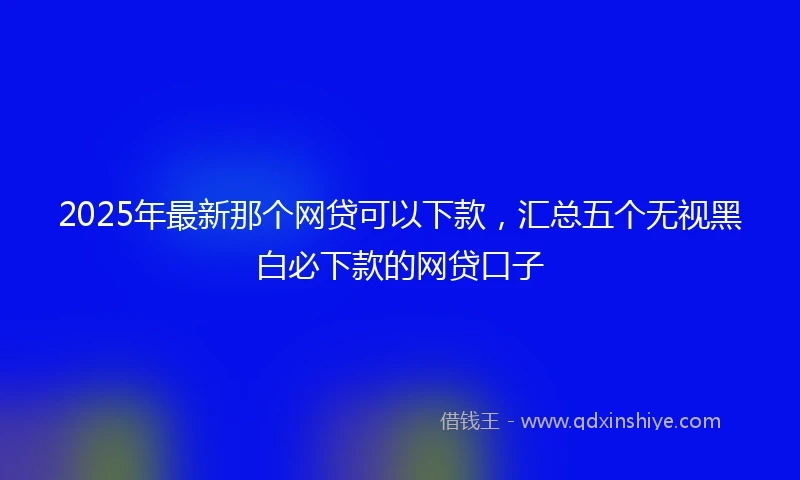 2025年最新那个网贷可以下款，汇总五个无视黑白必下款的网贷口子