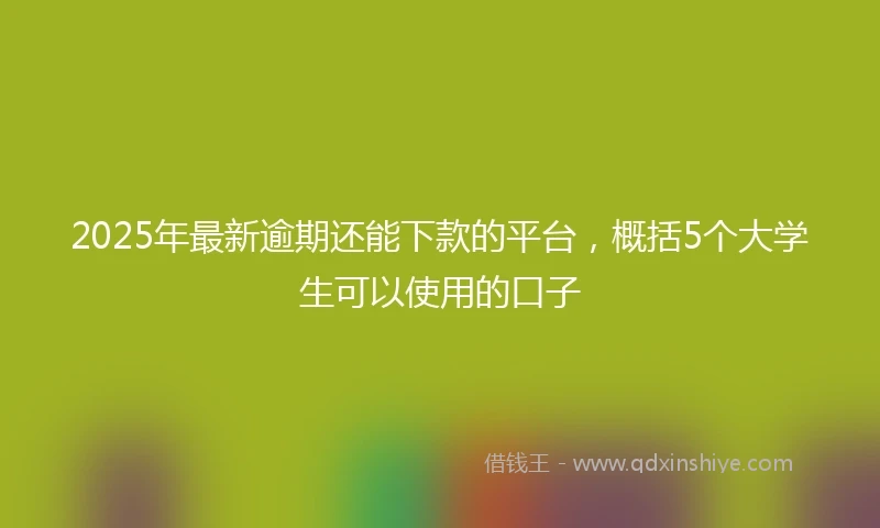 2025年最新逾期还能下款的平台，概括5个大学生可以使用的口子