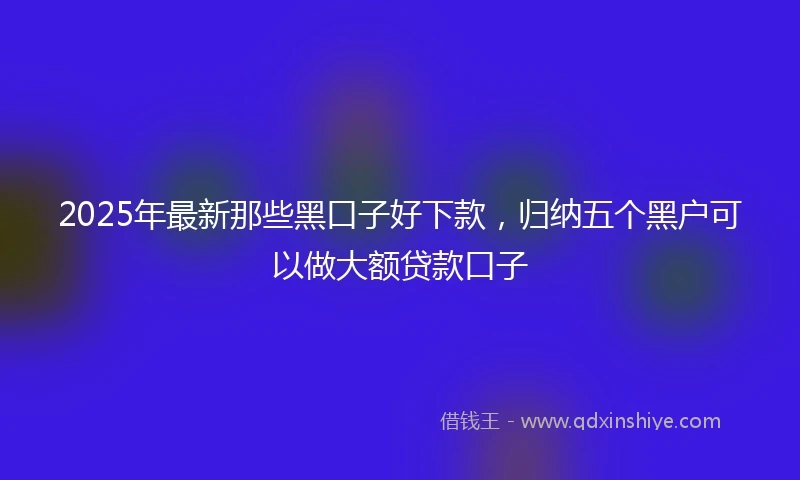 2025年最新那些黑口子好下款，归纳五个黑户可以做大额贷款口子