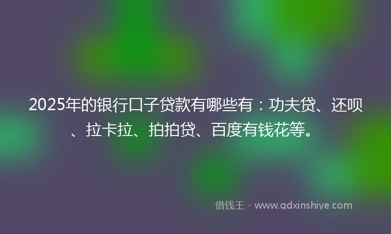 2025年的银行口子贷款有哪些有：功夫贷、还呗、拉卡拉、拍拍贷、百度有钱花等。