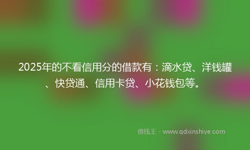 2025年的不看信用分的借款有：滴水贷、洋钱罐、快贷通、信用卡贷、小花钱包等。