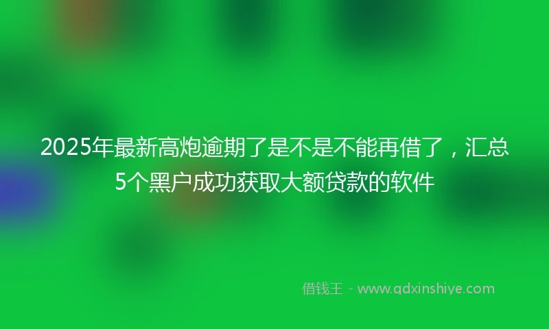 2025年最新高炮逾期了是不是不能再借了，汇总5个黑户成功获取大额贷款的软件