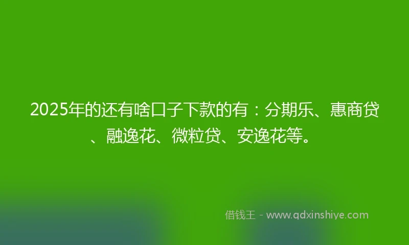 2025年的还有啥口子下款的有：分期乐、惠商贷、融逸花、微粒贷、安逸花等。