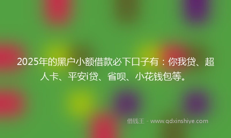 2025年的黑户小额借款必下口子有：你我贷、超人卡、平安i贷、省呗、小花钱包等。