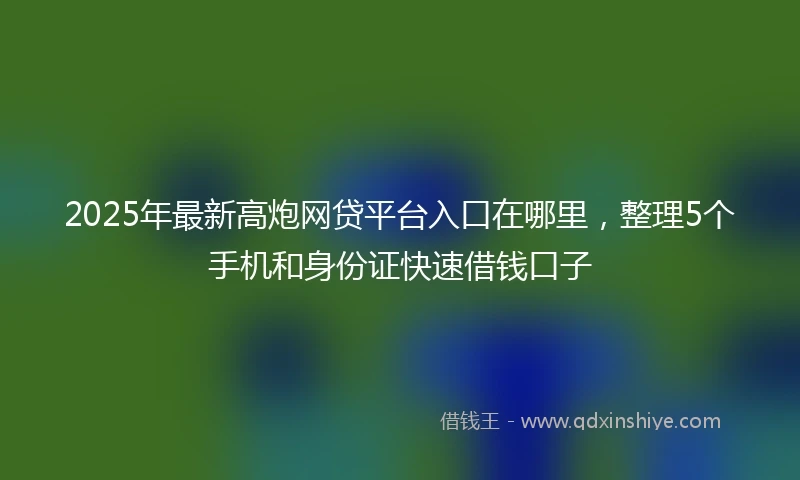 2025年最新高炮网贷平台入口在哪里，整理5个手机和身份证快速借钱口子