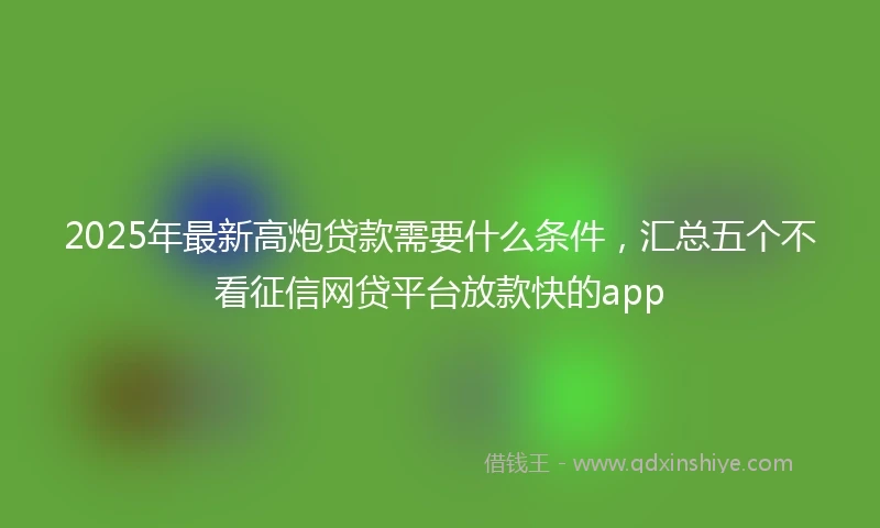 2025年最新高炮贷款需要什么条件，汇总五个不看征信网贷平台放款快的app