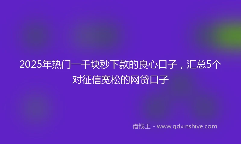 2025年热门一千块秒下款的良心口子，汇总5个对征信宽松的网贷口子