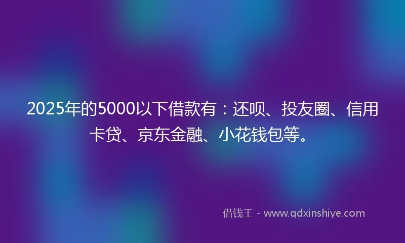 2025年的5000以下借款有：还呗、投友圈、信用卡贷、京东金融、小花钱包等。