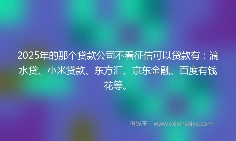2025年的那个贷款公司不看征信可以贷款有：滴水贷、小米贷款、东方汇、京东金融、百度有钱花等。