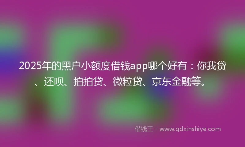 2025年的黑户小额度借钱app哪个好有：你我贷、还呗、拍拍贷、微粒贷、京东金融等。