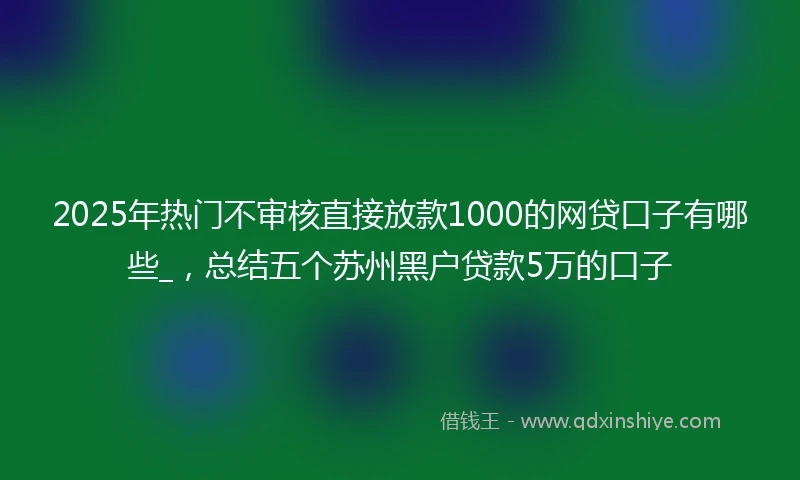 2025年热门不审核直接放款1000的网贷口子有哪些_，总结五个苏州黑户贷款5万的口子