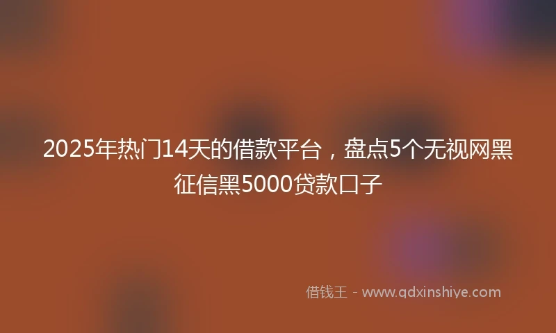 2025年热门14天的借款平台，盘点5个无视网黑征信黑5000贷款口子