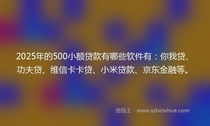 2025年的500小额贷款有哪些软件有：你我贷、功夫贷、维信卡卡贷、小米贷款、京东金融等。