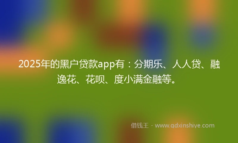 2025年的黑户贷款app有：分期乐、人人贷、融逸花、花呗、度小满金融等。