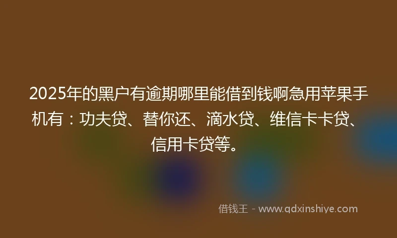 2025年的黑户有逾期哪里能借到钱啊急用苹果手机有：功夫贷、替你还、滴水贷、维信卡卡贷、信用卡贷等。