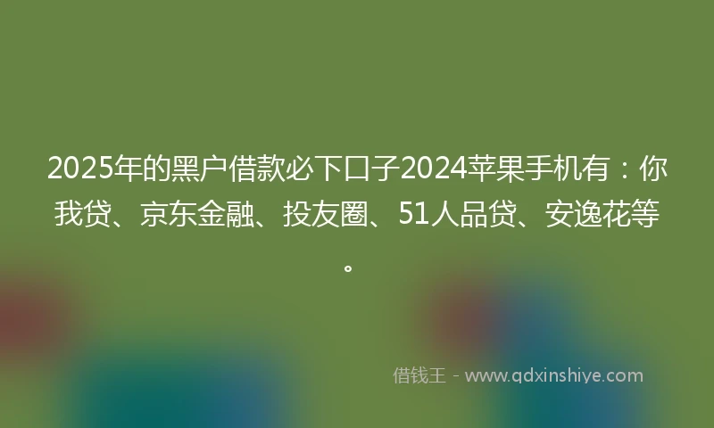 2025年的黑户借款必下口子2024苹果手机有：你我贷、京东金融、投友圈、51人品贷、安逸花等。