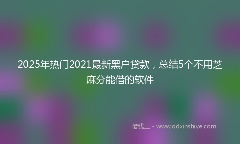 2025年热门2021最新黑户贷款，总结5个不用芝麻分能借的软件
