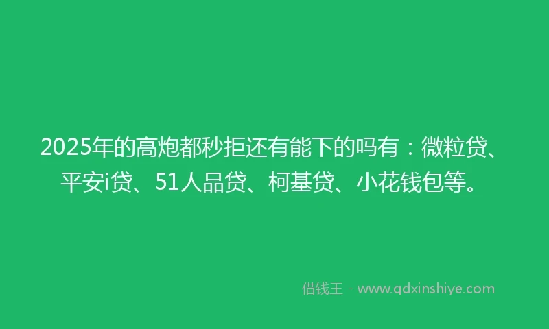 2025年的高炮都秒拒还有能下的吗有：微粒贷、平安i贷、51人品贷、柯基贷、小花钱包等。