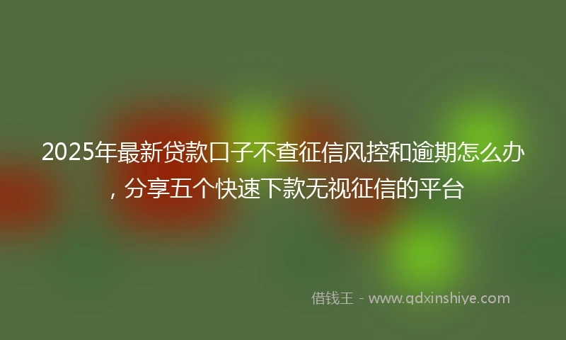 2025年最新贷款口子不查征信风控和逾期怎么办，分享五个快速下款无视征信的平台