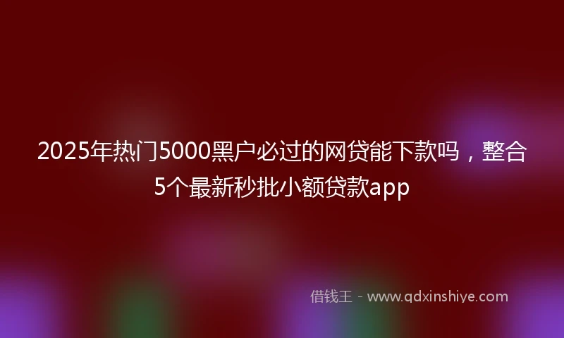 2025年热门5000黑户必过的网贷能下款吗，整合5个最新秒批小额贷款app